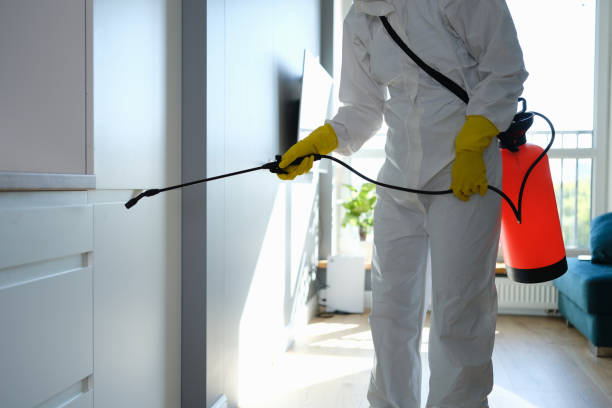 Professional Mold Remediation in Marysville, MI